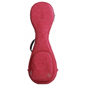 RB-PP-定制琵琶包